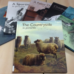 dementia books
