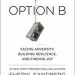 Option B