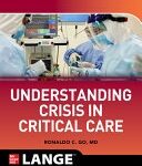 Understanding crisis in critical care